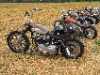 30 Jahre SSCycle