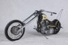 SSCyle Custom Bike