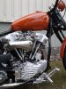 SSCyle Custom Bike