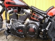 SSCyle Custom Bike