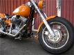 SSCyle Custom Bike